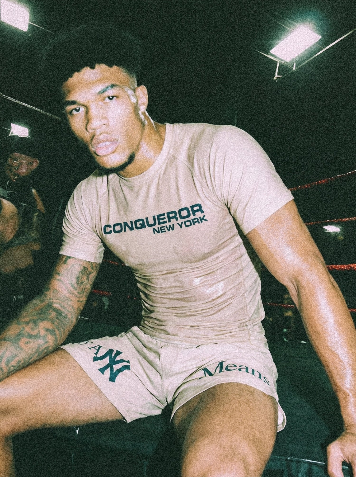 Fighter Collection